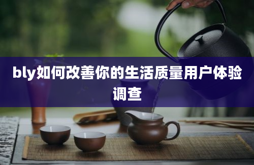 bly如何改善你的生活质量用户体验调查