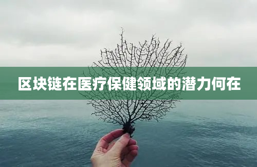 区块链在医疗保健领域的潜力何在