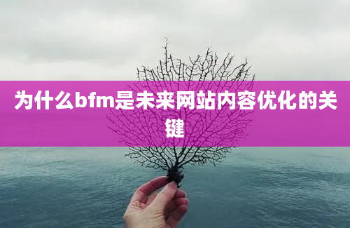 为什么bfm是未来网站内容优化的关键