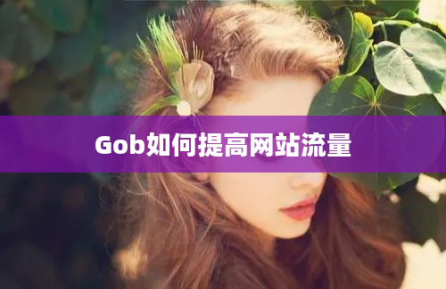 Gob如何提高网站流量