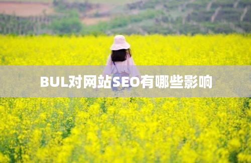 BUL对网站SEO有哪些影响