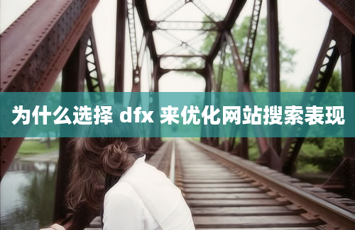 为什么选择 dfx 来优化网站搜索表现