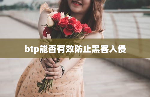 btp能否有效防止黑客入侵