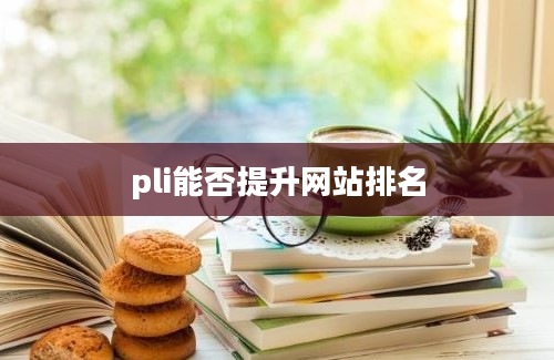 pli能否提升网站排名