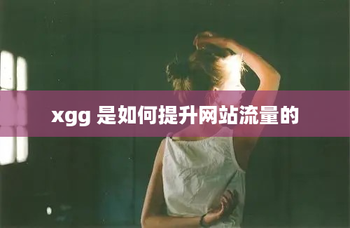 xgg 是如何提升网站流量的