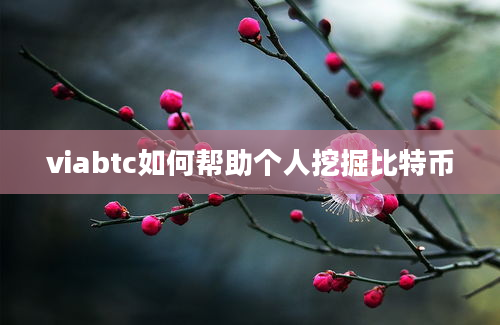 viabtc如何帮助个人挖掘比特币