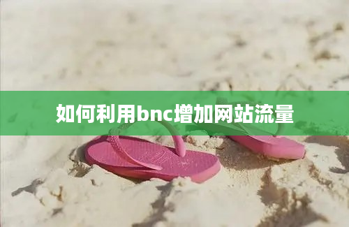 如何利用bnc增加网站流量