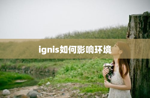 ignis如何影响环境