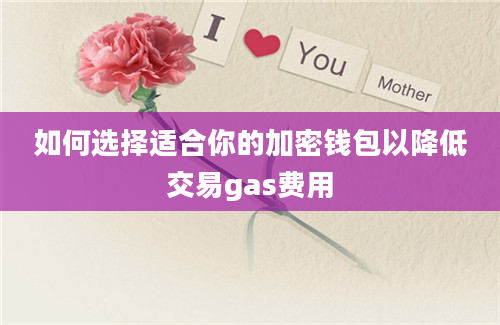 如何选择适合你的加密钱包以降低交易gas费用