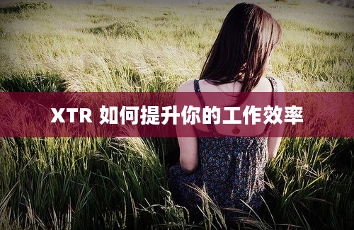 XTR 如何提升你的工作效率