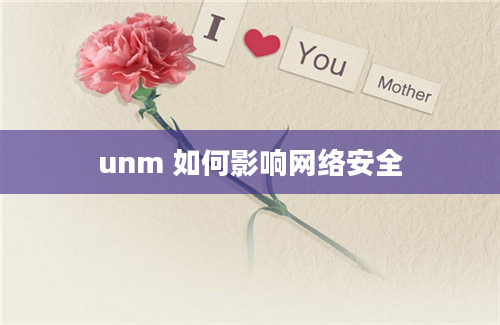 unm 如何影响网络安全