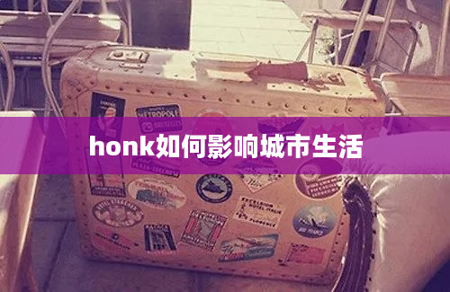 honk如何影响城市生活