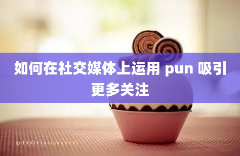 如何在社交媒体上运用 pun 吸引更多关注