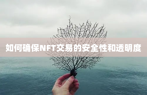 如何确保NFT交易的安全性和透明度