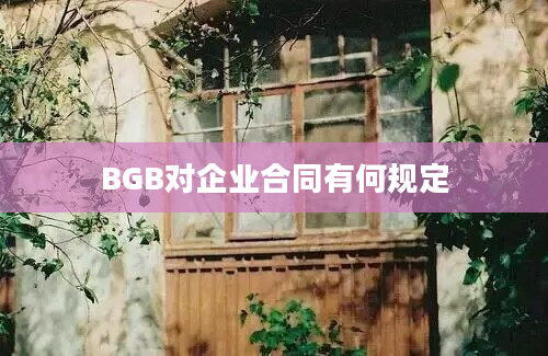 BGB对企业合同有何规定