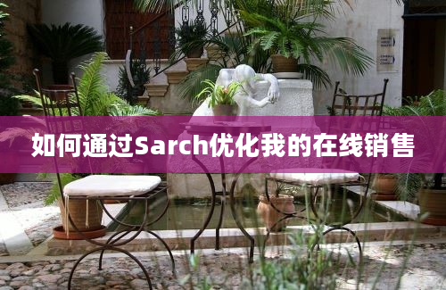 如何通过Sarch优化我的在线销售