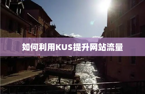 如何利用KUS提升网站流量