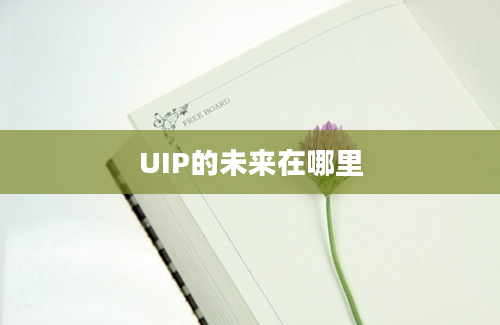 UIP的未来在哪里