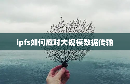 ipfs如何应对大规模数据传输