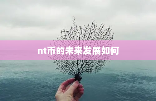 nt币的未来发展如何