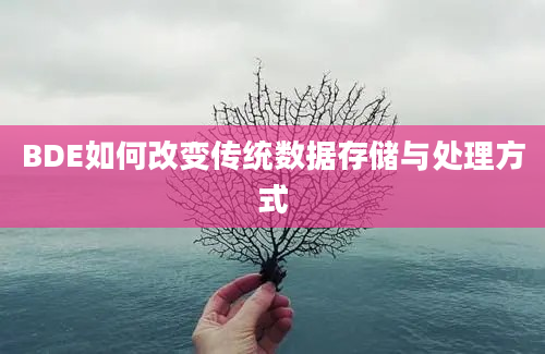 BDE如何改变传统数据存储与处理方式