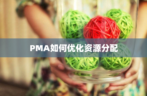 PMA如何优化资源分配