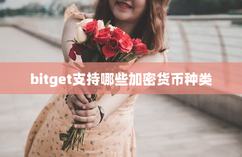 bitget支持哪些加密货币种类