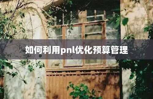 如何利用pnl优化预算管理