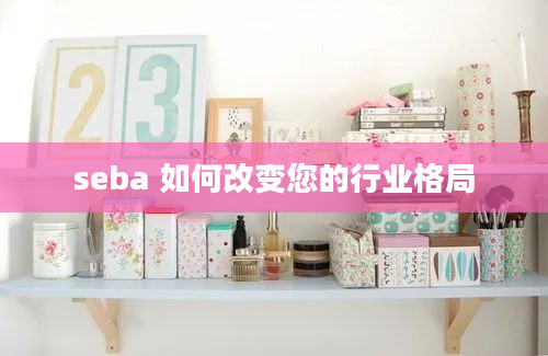 seba 如何改变您的行业格局