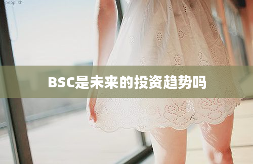 BSC是未来的投资趋势吗