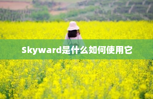 Skyward是什么如何使用它