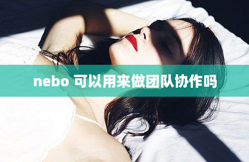 nebo 可以用来做团队协作吗