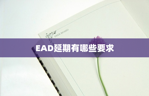 EAD延期有哪些要求