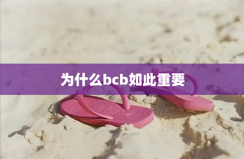 为什么bcb如此重要