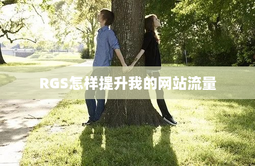 RGS怎样提升我的网站流量