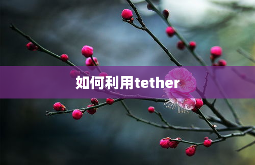 如何利用tether