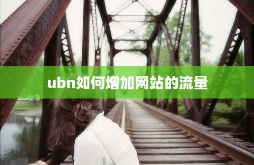 ubn如何增加网站的流量