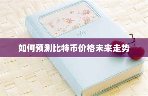 如何预测比特币价格未来走势