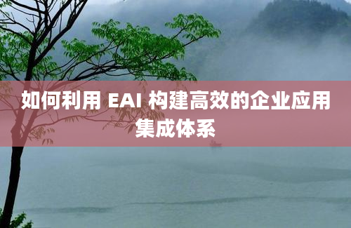 如何利用 EAI 构建高效的企业应用集成体系