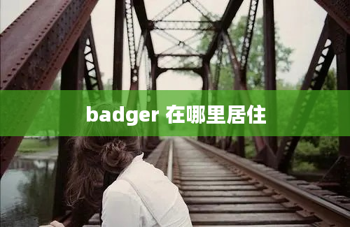 badger 在哪里居住