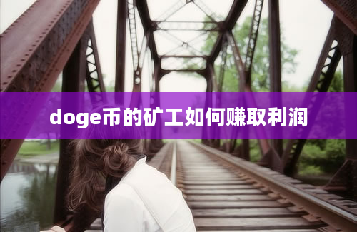 doge币的矿工如何赚取利润