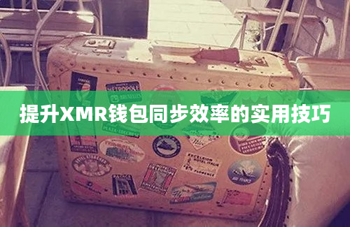 提升XMR钱包同步效率的实用技巧