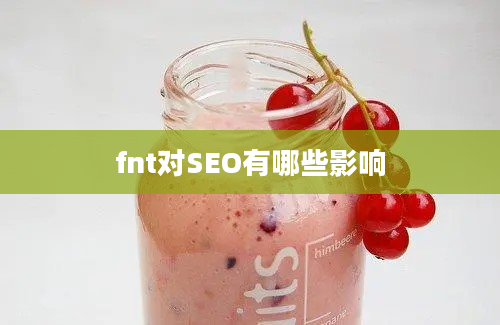 fnt对SEO有哪些影响