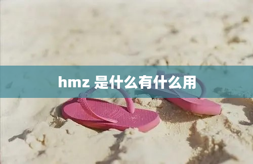 hmz 是什么有什么用