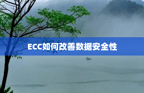 ECC如何改善数据安全性