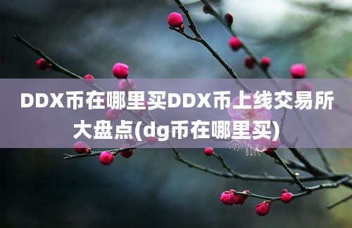 DDX币在哪里买DDX币上线交易所大盘点(dg币在哪里买)