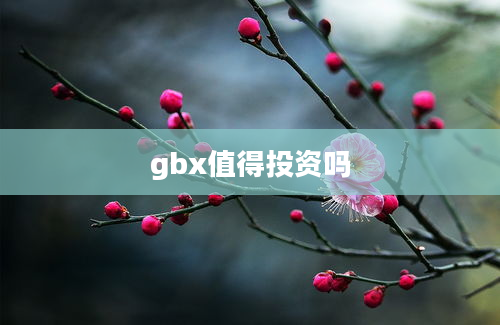 gbx值得投资吗