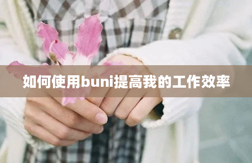 如何使用buni提高我的工作效率