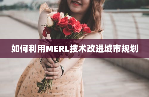 如何利用MERL技术改进城市规划