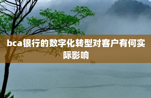 bca银行的数字化转型对客户有何实际影响